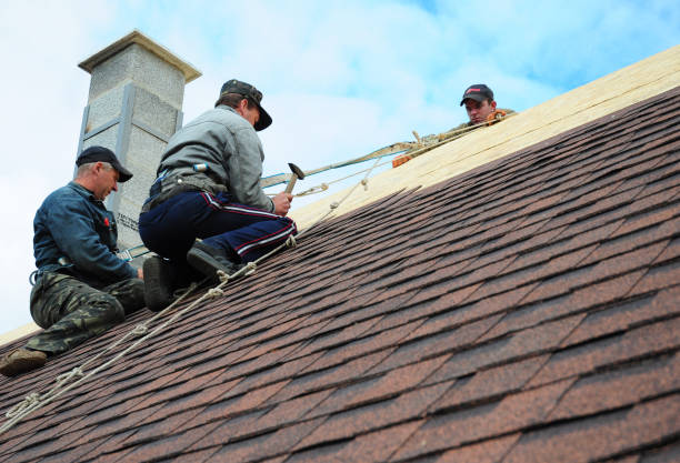 Best Local Roofing Companies  in Shorewood Forest, IN